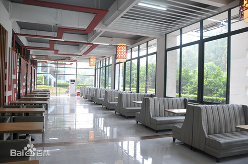 广东轻工职业技术学院如何？