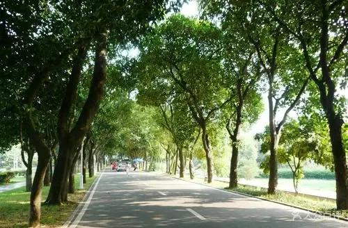 零基础提升学历，成人高考为什么能成为更多人的首选？