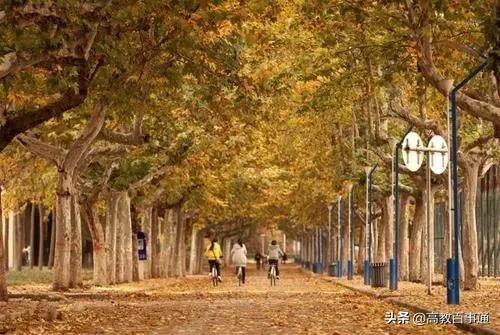 河南科技大学博士点（2021河南高校申博结果）