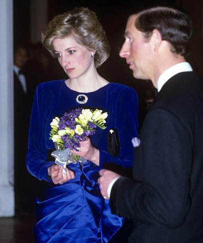 戴安娜王妃拒吻图片(戴安娜:独坐泰姬陵拍照,当众拒绝查尔斯的亲吻,她