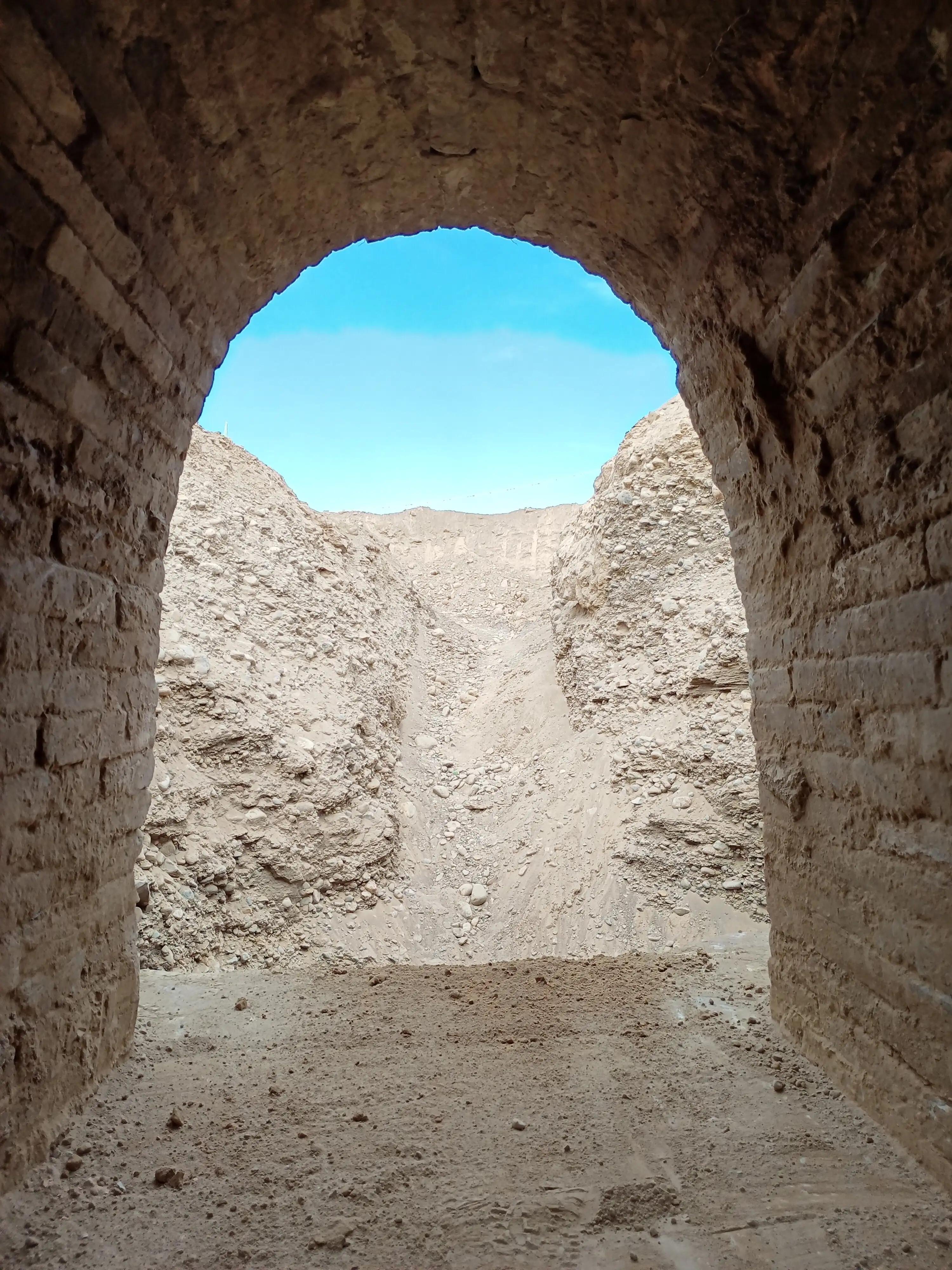 豬在什么時代被廣泛養殖,豬在什么時代被廣泛養殖的