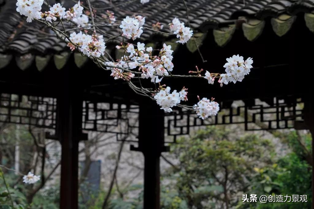 中式庭院，每一个角落都是一首诗，一步一趋皆是景