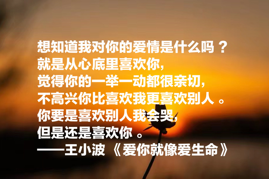 京籍作家中，最爱王小波没有之一，用他这10句名言寄托对他的怀念