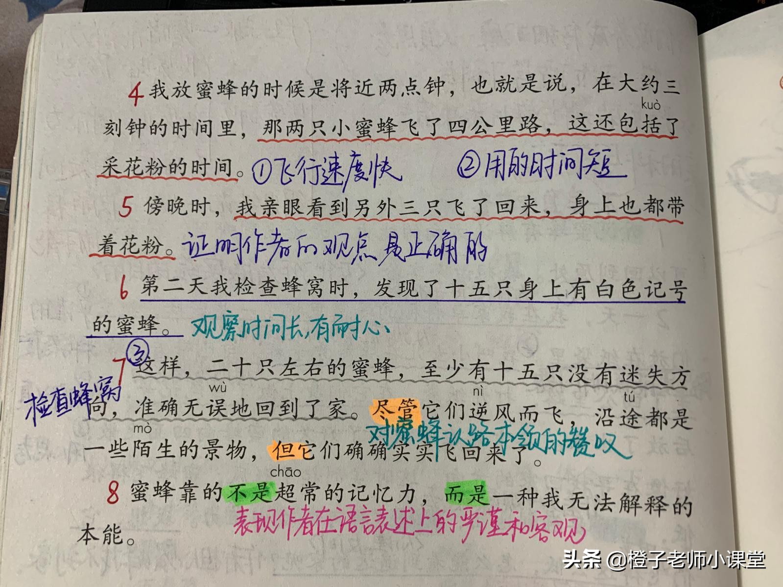 三年级课文《蜜蜂》，教师整理笔记认识法布尔，学习科学精神