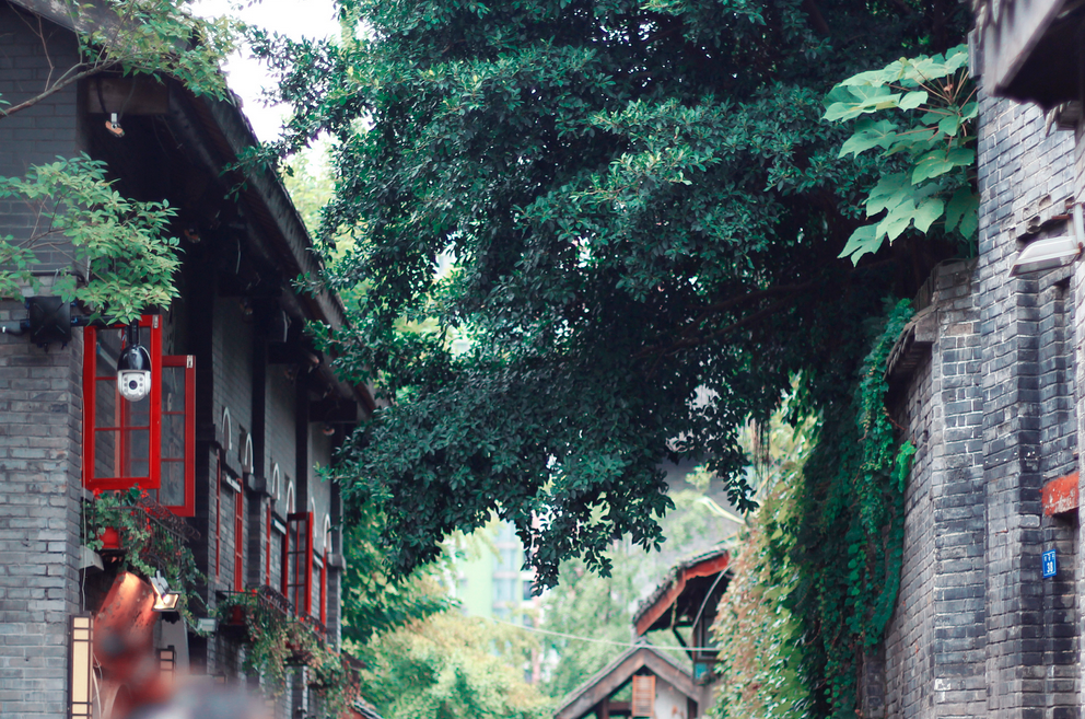 这所985大学太热门了！4.6万余名考研学子报名，竞争有点激烈