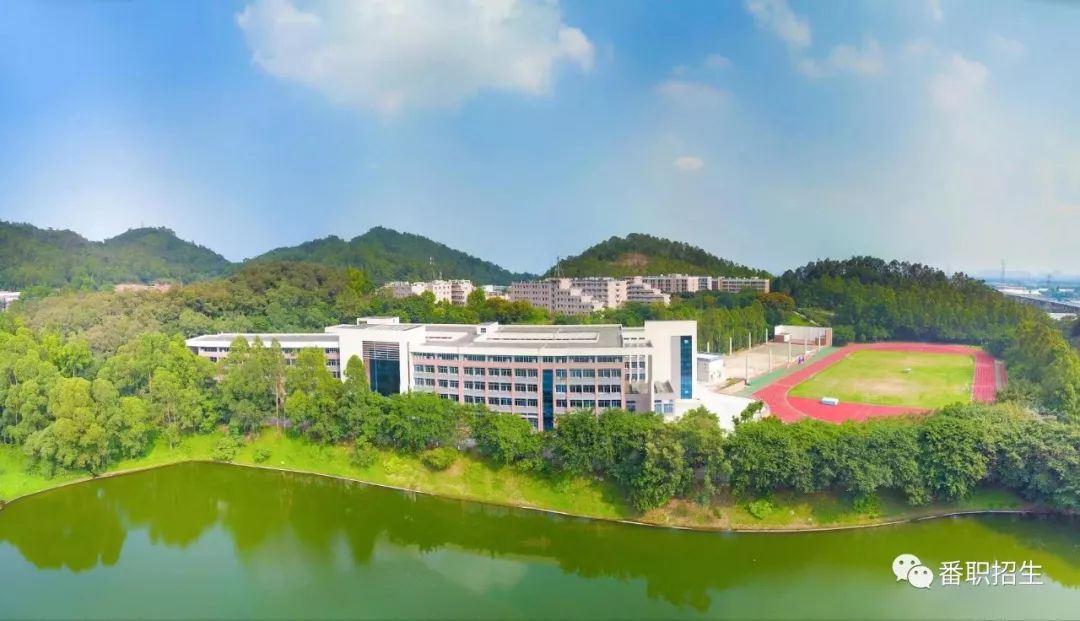 重磅！番职院2020年试点本科招生