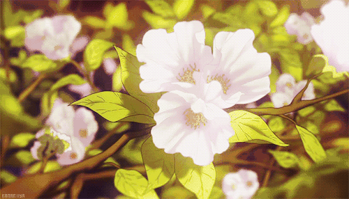 500_286gif 动态图 动图