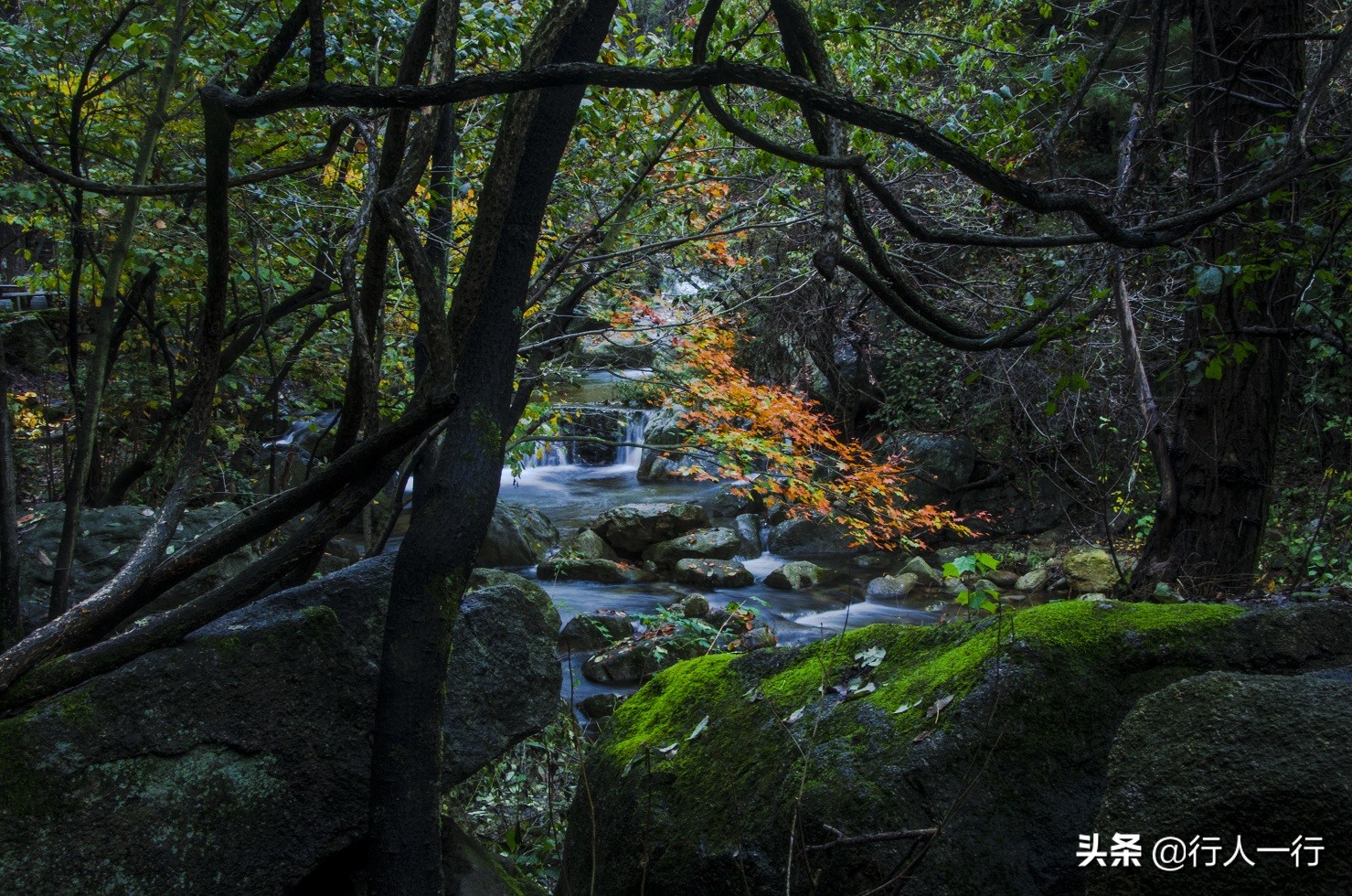 河南的秋天，这10大景区一定要去看看，每一处都美出仙境，还免费