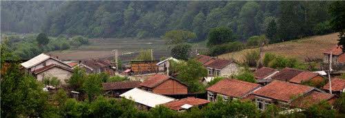 寒门学子苏贺：高中时每月50块伙食费，高考615分考入东北大学