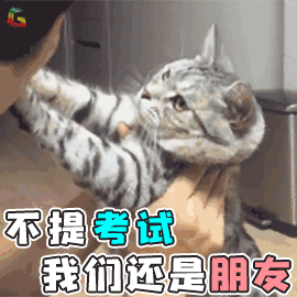 Excel表格如何快速排名？ （教你3个实用技巧） 1.数值排名，2.条件排名，3.数据透视表排名。 无论哪种方式，都能让你轻松搞定排名。