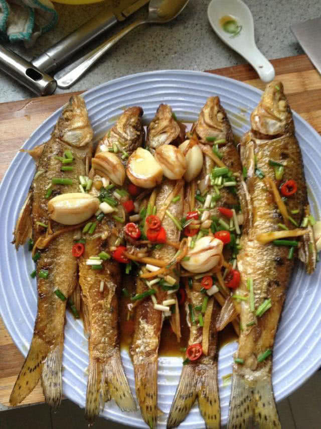 格鱼学名叫什么(格利是什么鱼) - 风集网