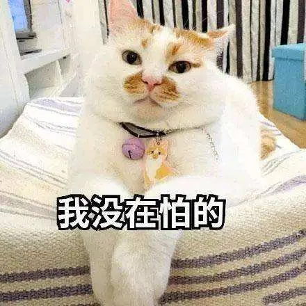 知识贴：猫咪应激反应有什么症状，该怎么应对和预防？