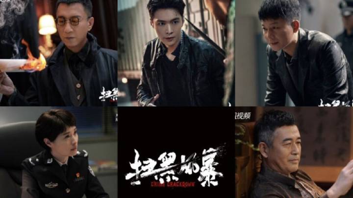 近几年,随着《巡回检察组》空降开播,到刚刚播完的《扫黑风暴》,似乎