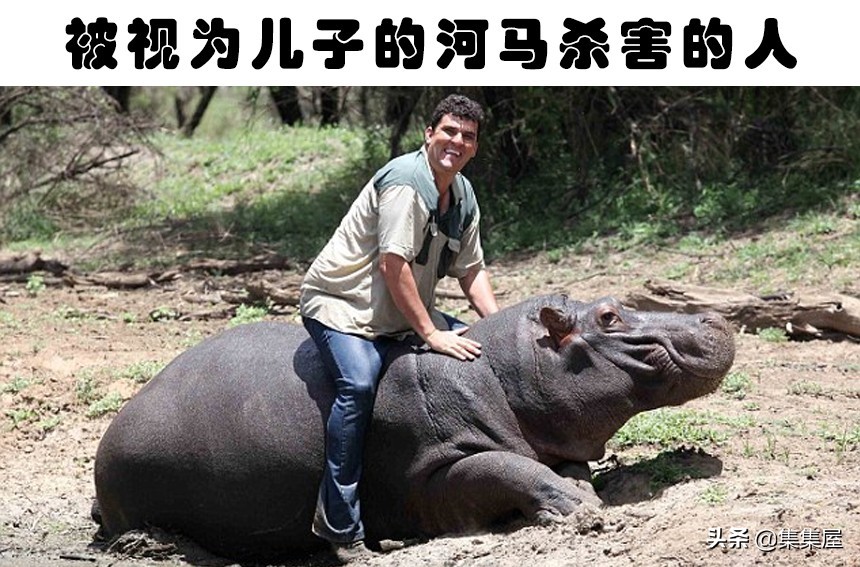 真实发生在世界上的8只杀害或吃掉主人的动物