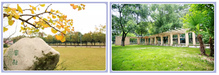 来武汉外语外事职业学院，出国不是梦