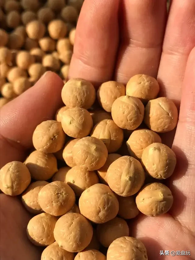 花了四位数,买了串凤眼,有人告诉我这是国产籽