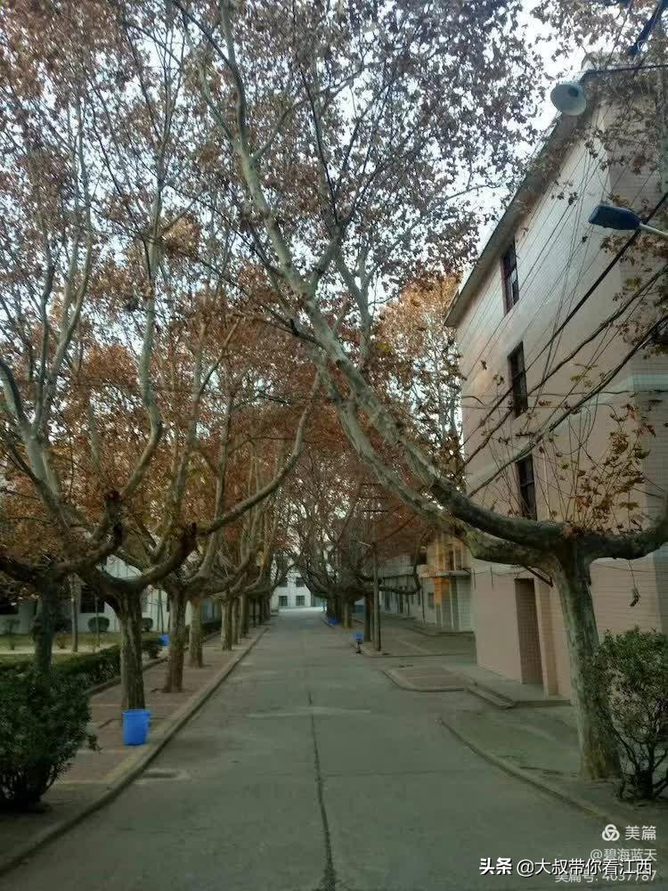 渭南师范专科学校，难忘的师专情怀