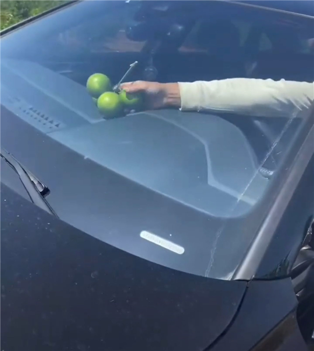 全红婵家橙子熟了！果子烂在地上，哥哥心疼想哭，网友想包场支持