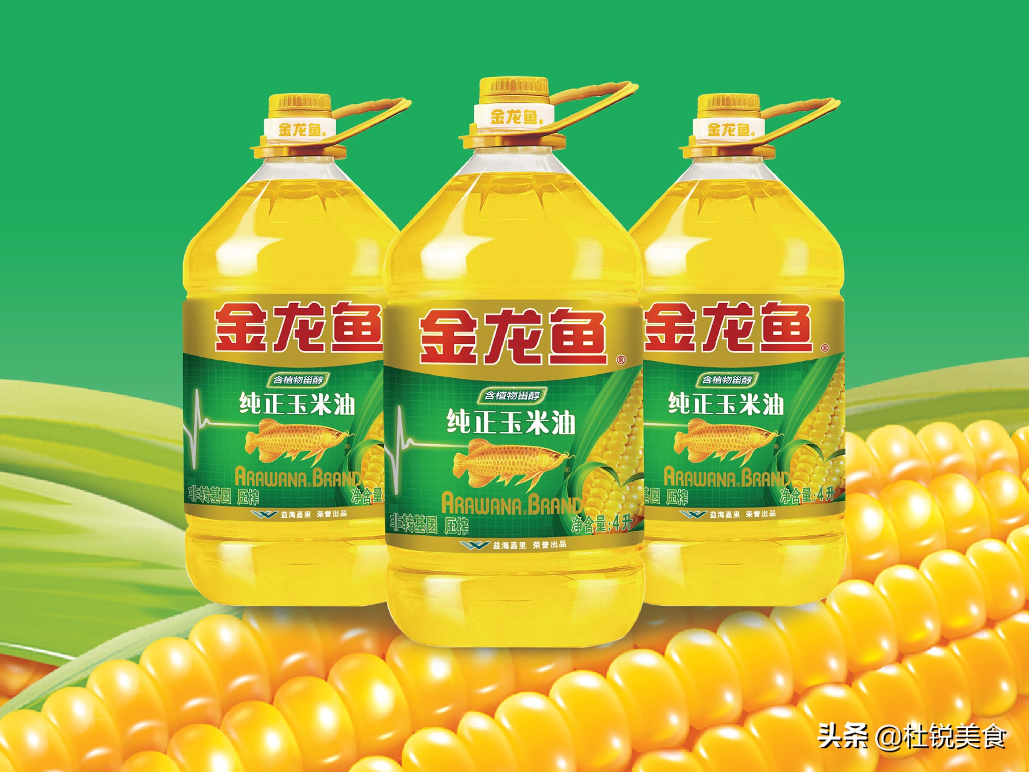 花生油玉米油菜籽油豆油,品種這麼多,應該怎麼選?看完明白了