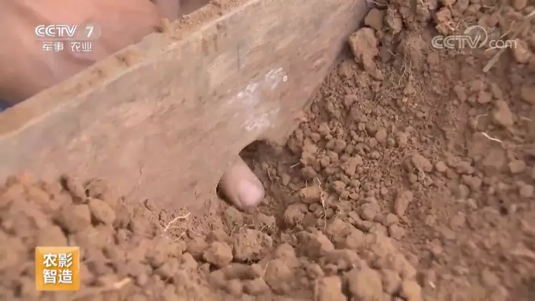 挖个坑,埋点土,秋后抬回两千万!蜂农中的绝命毒师