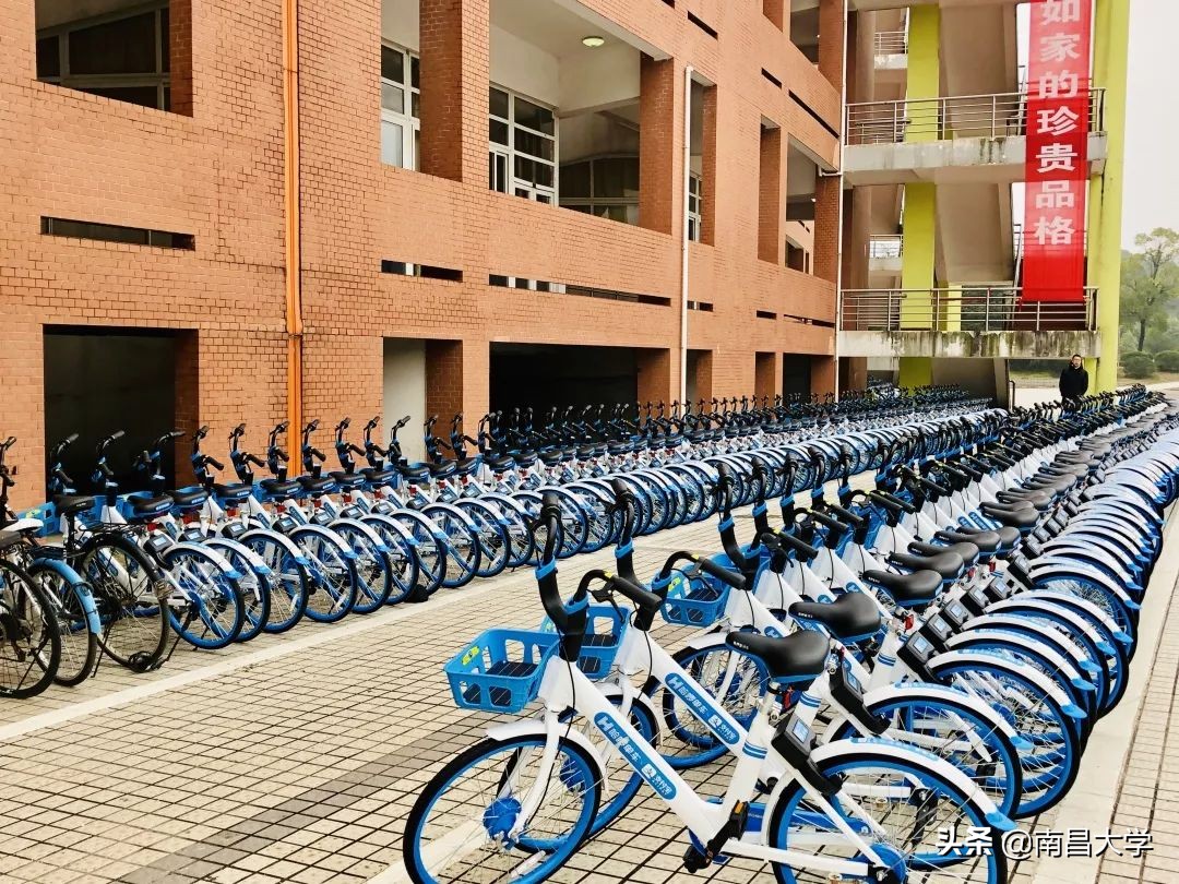 我们的2019 | 走进经管、化学、共青学院和三附院、人事处、后勤集团