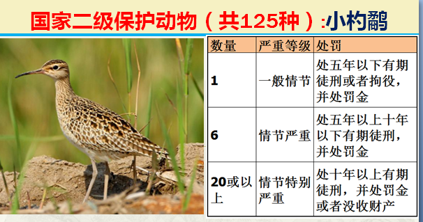 国家保护动物分几个等级（125类二级野生保护名录）