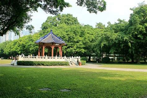 河南五高校学分互认，跨校上课也能修学分