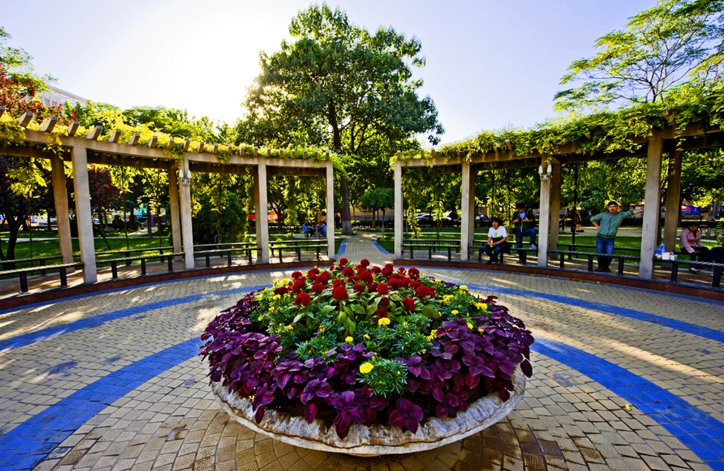 河北地质大学2020招生计划与录取动态