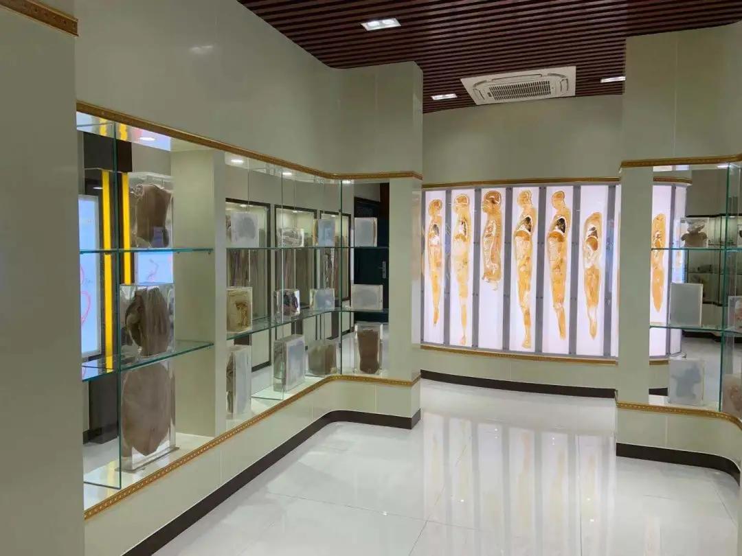 公办高校 省级示范 达州职业技术学院2021年单招计划公布