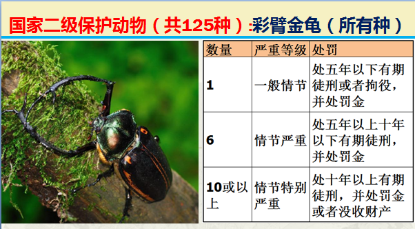 国家保护动物分几个等级（125类二级野生保护名录）