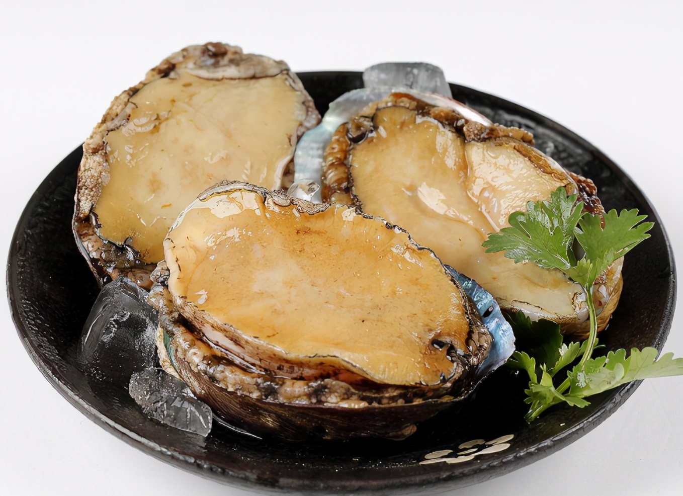 鲍鱼是什么意思 摸鱼是什么意思网络语-世界十大之最