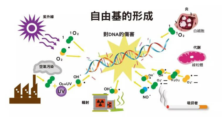 蓝莓别再这样吃！释放真正营养价值，网友：不愧是顶级的蓝色水果