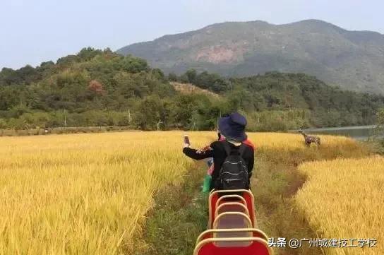 城建攻略 | @城建小萌新，这些地方你都打卡了吗？