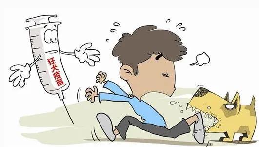 #健康科普大赛# 消除人间狂犬病，动物免疫须先行