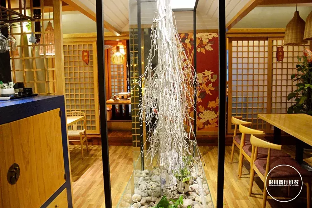 银川最美居酒屋，深藏大树下