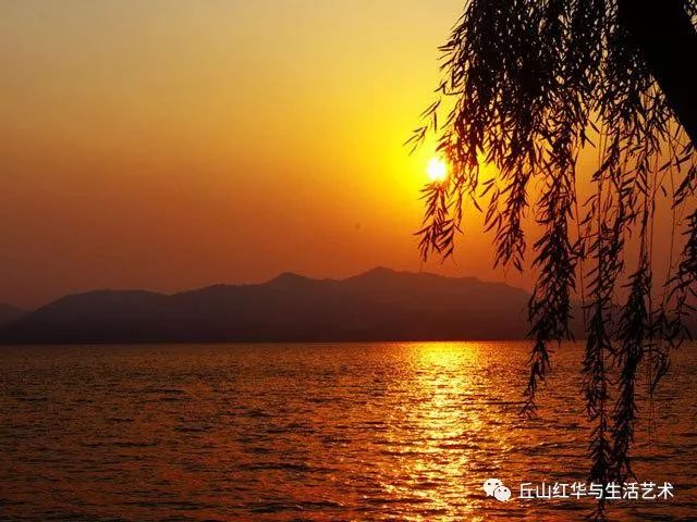 詩人橄欖樹女士散文詩:黃昏那一抹夕陽