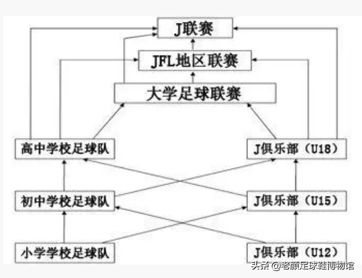 深圳红钻王栋(两张图解读中国日本足球差距根源，我们教育太差劲，学校太无能)