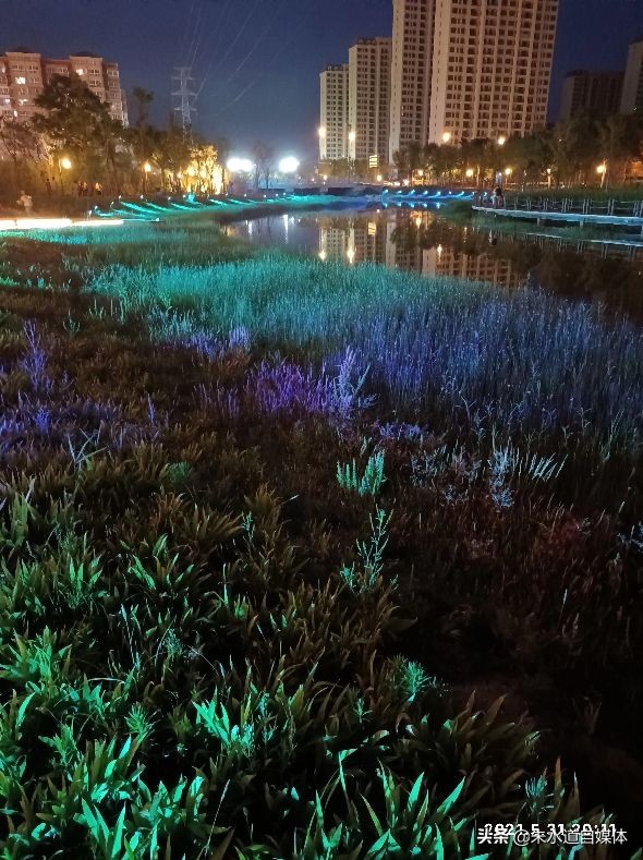 开封河畔夜步：清风拂面，心随流水悠然远去