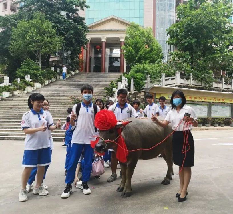郑州明新中学2017高考（不要太羡慕）