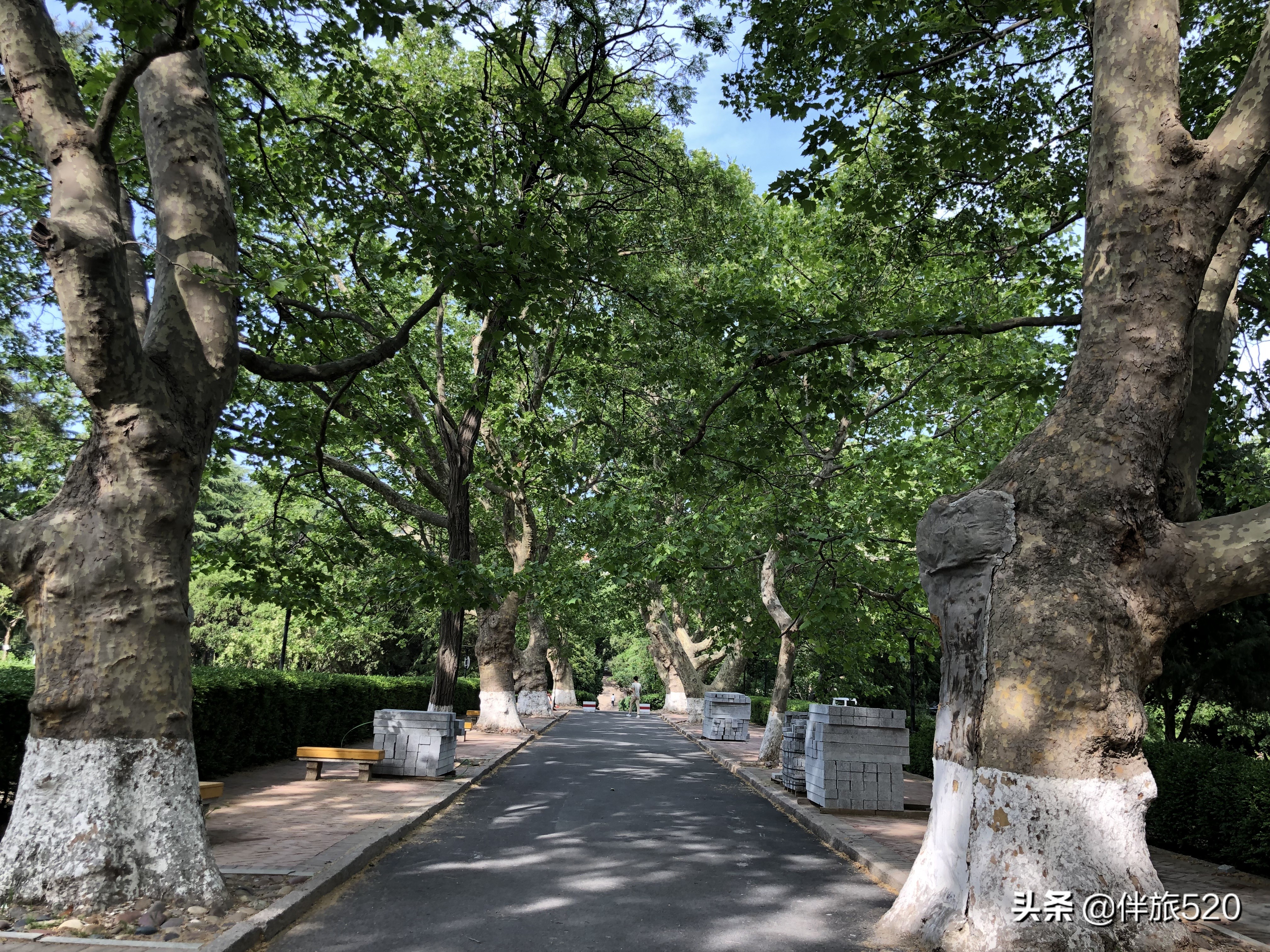 来青岛,中国海洋大学鱼山校区是值的来参观的好地方