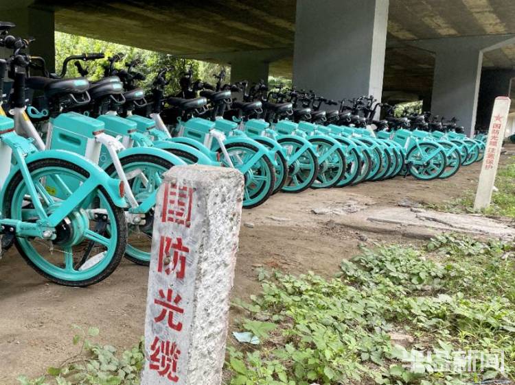 半岛独家丨太壮观！数千辆共享电动自行车藏身立交桥下！网友发问：危险不？车牌呢？