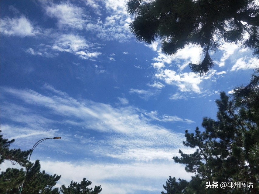 美丽的校园，威海职业学院