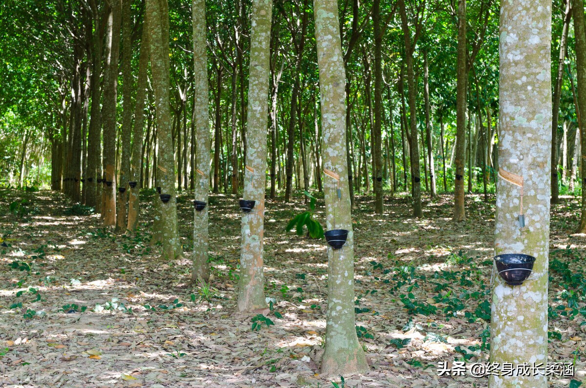 论语笑谈：当幽默遇见损友，孔子教你妙语反击！