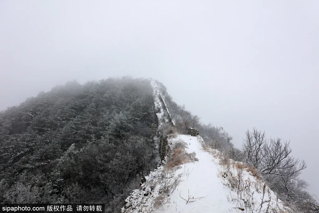 节气小雪丨天寒地冻，北京这里桃花却开了！（文末有福利）