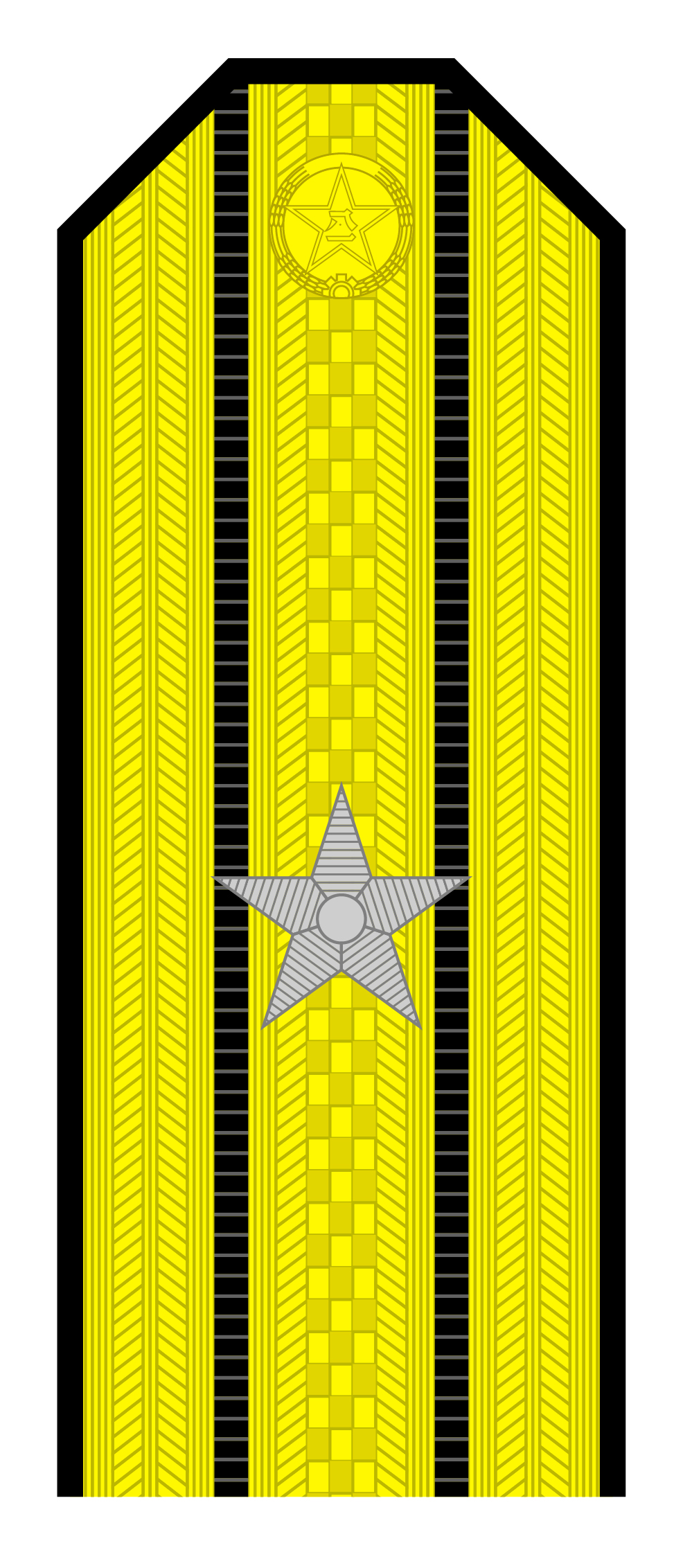 解放军肩章大小图片（解放军55式军衔军官常服肩章一览）