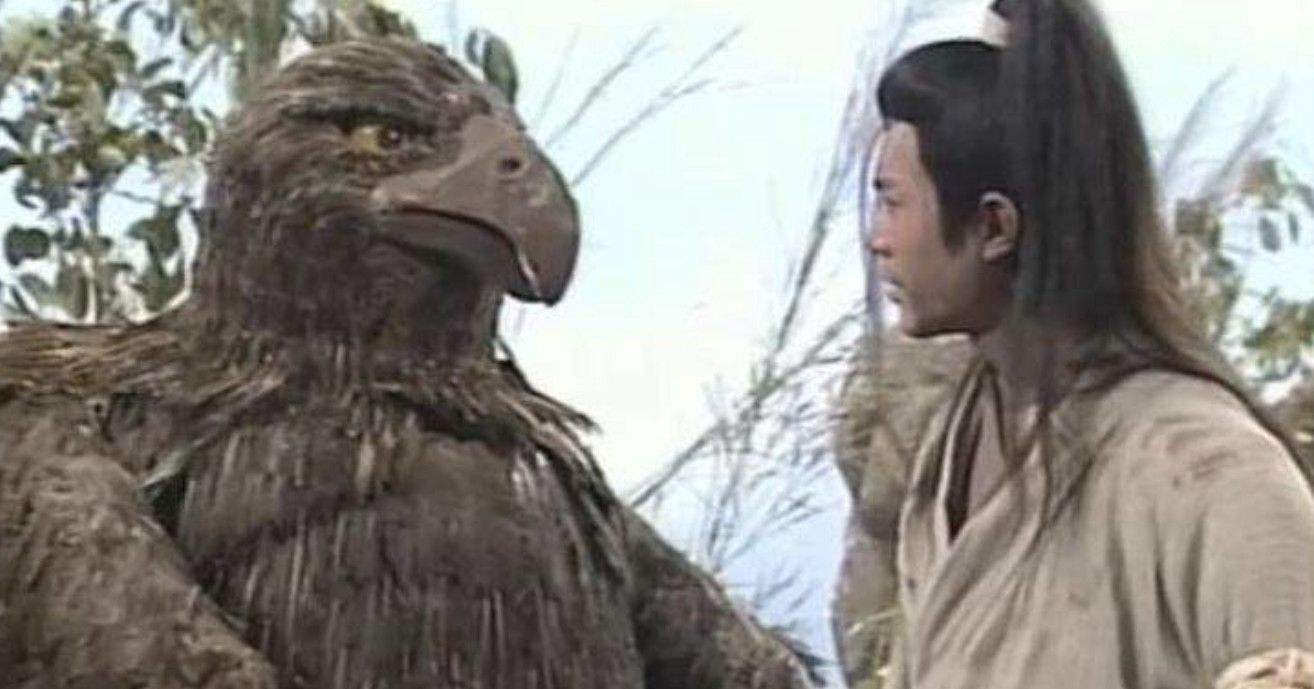 鸟类的祖先(盘点史上最强大的10种鸟,恐鸟仅排第5