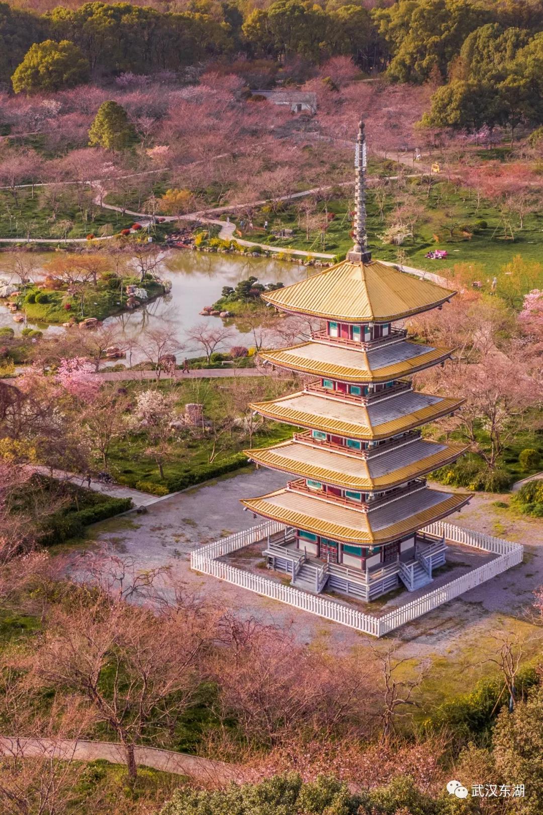 马鞍山森林公园 华容马鞍山森林公园-徐拾记官网