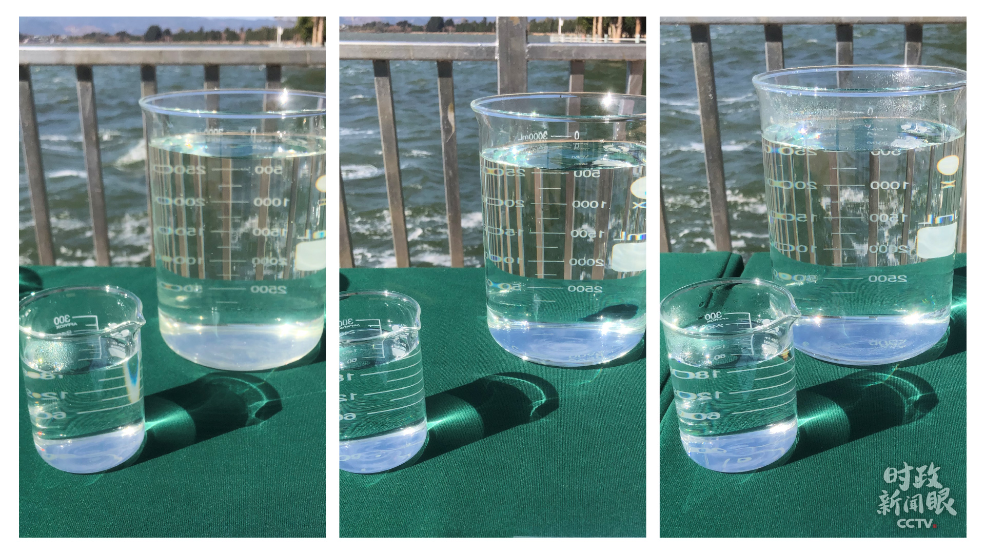 时政新闻眼丨习近平在昆明考察，他关心着这些大事