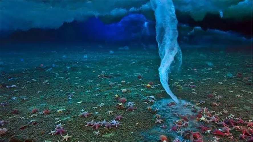 南极的死亡冰柱,是海底最恐怖的杀手,所到之处海洋生物被冻死