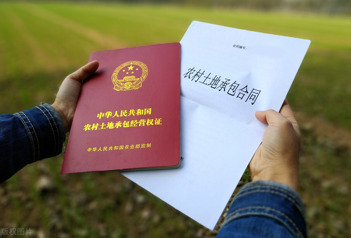 集体土地使用权转让(农村田地是按人平分的) - 燕来学堂